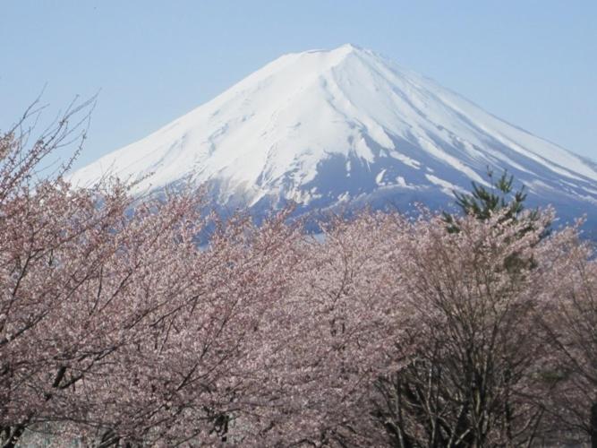 Shuhokaku Kogetsu Otel Fujikawaguchiko Dış mekan fotoğraf